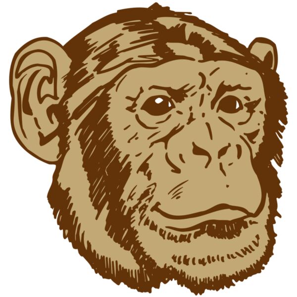 AR OTHER 47 RC Thumbnail